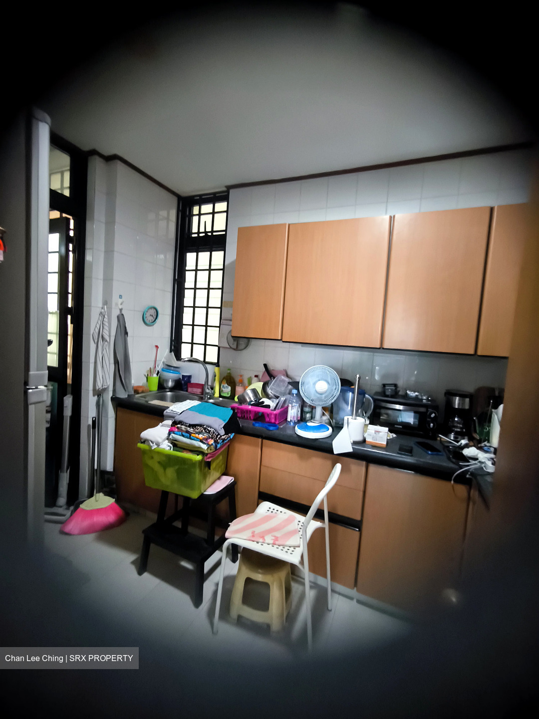 Spring Grove (D10), Condominium #478914731